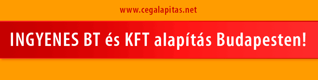 cegalapitasnet banner v2