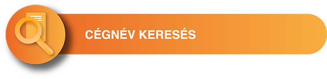 Cégnév keresés